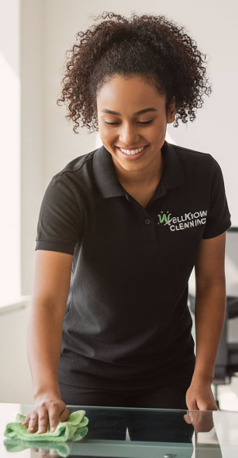 Professional cleaning process demonstration